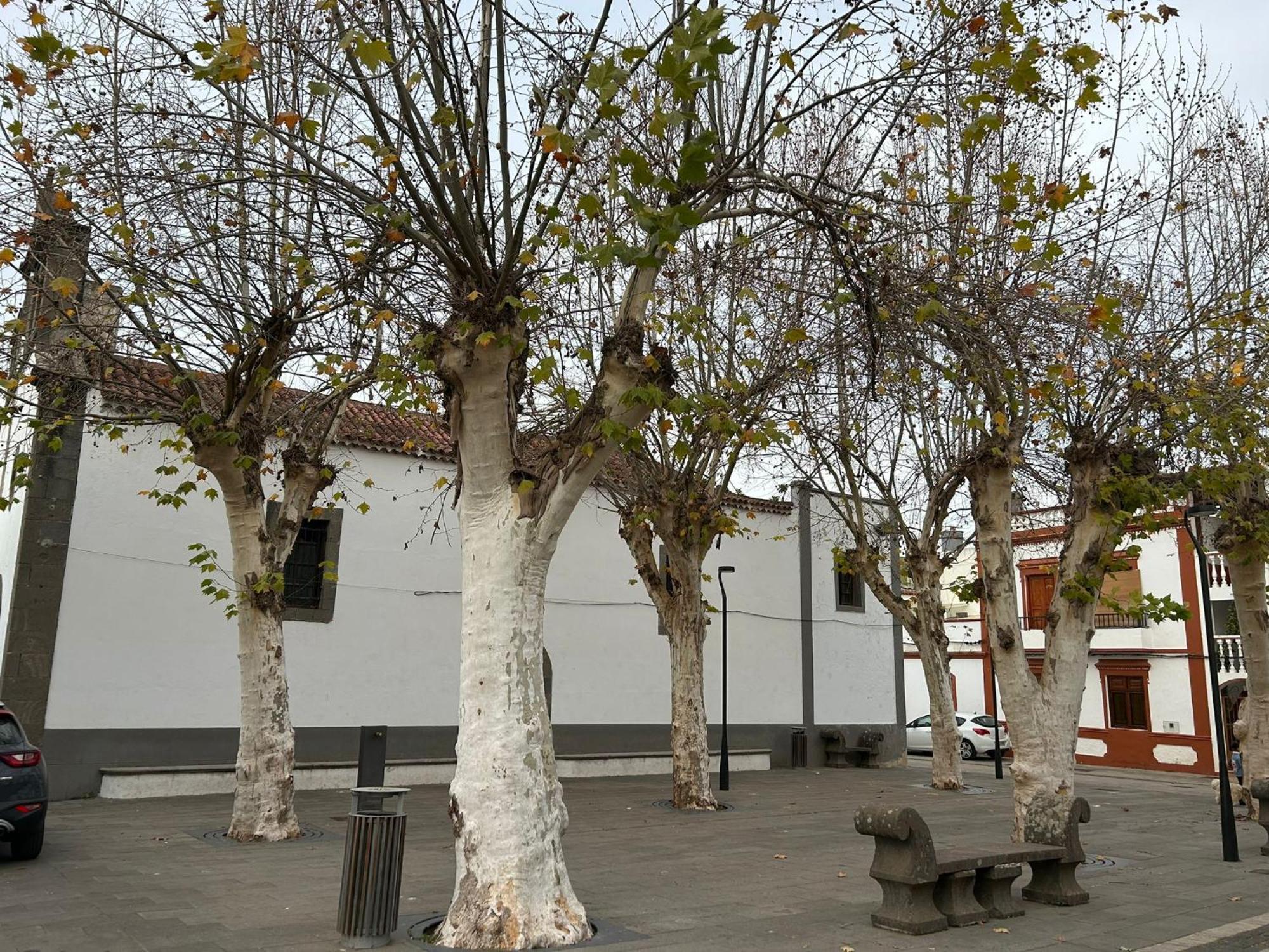 Vivienda Alpa Fontanales Agua de Fontanales Exterior foto